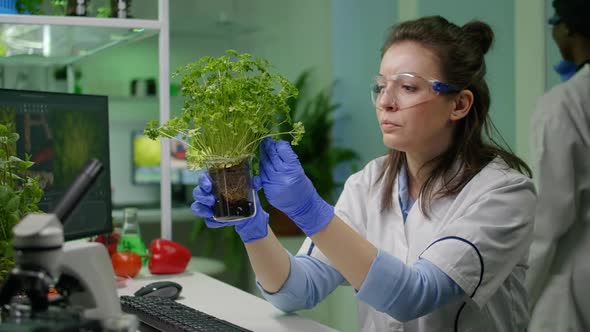 Botanist Researcher Woman Examining Green Sapling Observing Genetic Mutation