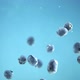 Super slow motion shot of blueberries falling into the water with a splash. Blue background. - VideoHive Item for Sale