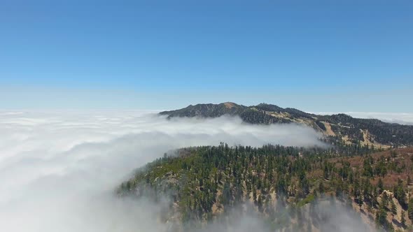 Unique aerial video shows white ocean of clouds and hilltops covered with forest in California, USA