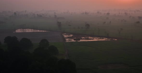 Rukanpur, Rahim Yar Khan, Punjab, Pakistan -  A beautiful view of Foggy weather and green fields in