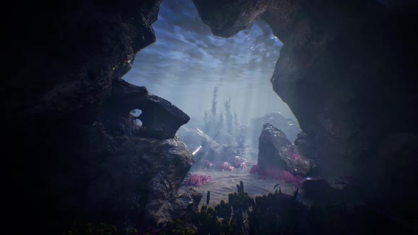 Ocean Floor Environment