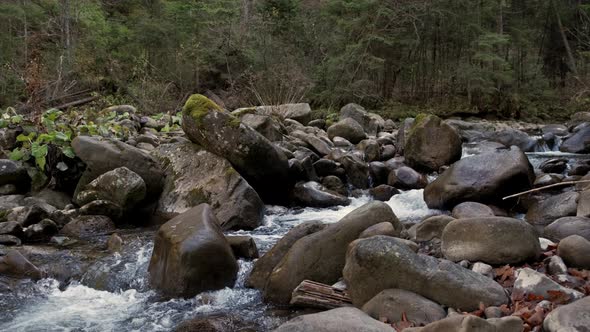 Small Mountain Stream in the Mountains of Ukraine