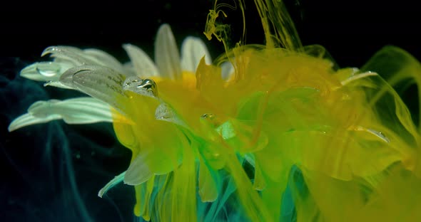 Yellow Ink Is Drifting Off of a Flower Underwater, Colorful Art, 