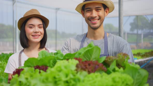 Healthy food business, two Asian couple farmers working in vegetables hydroponic farm with happiness