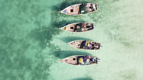 Boats in the Ocean Near the Coast of Zanzibar Tanzania