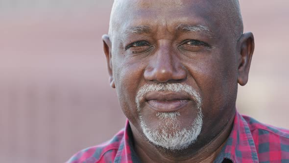 Headshot Portrait of Citizen Serious Pensive Black Male with Wrinkles Looking at Camera Closeup