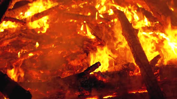 Big Campfire of the Logs Burns at Night in the Forest.