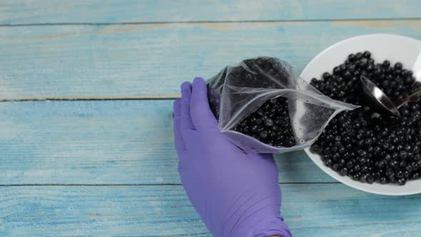 Packing Blueberries in Zipper Plastic Bags for Freezing. Frozen, Preservation Fruits, Berries Food