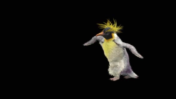 Penguin Dancing HD