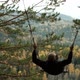 A Man Flies High Swinging on a Swing in the Woods - VideoHive Item for Sale