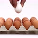 Close Up of Close Up of a Hand Putting in One White Chicken Egg in Between Brown Eggs in a Cardboard - VideoHive Item for Sale