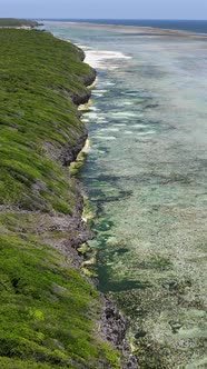 Zanzibar Tanzania  Ocean Shore Covered with Green Thickets Vertical Video