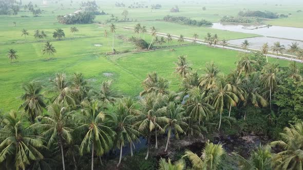 Aerial beautiful rural landscape 