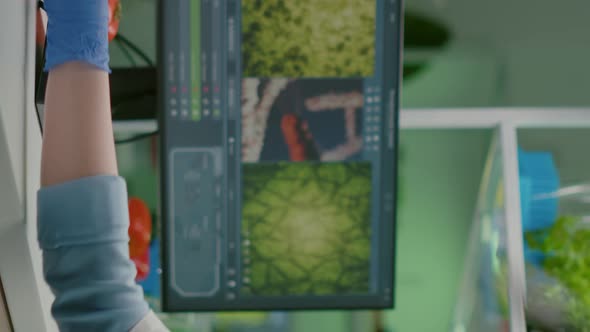 Vertical Video Researcher Woman Measuring Eco Sapling While Observing Biological Transformation