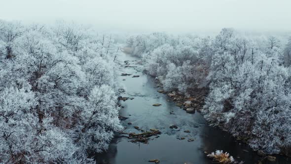 Forest river in winter. Aerial view of snow covered winter forest and river