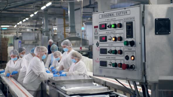 Fish-processing Factory Unit with the Staff at Work. Food Processing Factory Production Line.