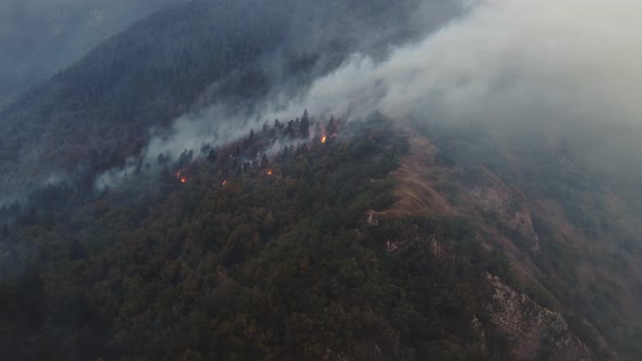 Fire in the forest aerial view. Cinematic aerial shot fire in the forest.