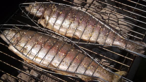 Tasty Whole Fishes Placed on Barbecue Grill