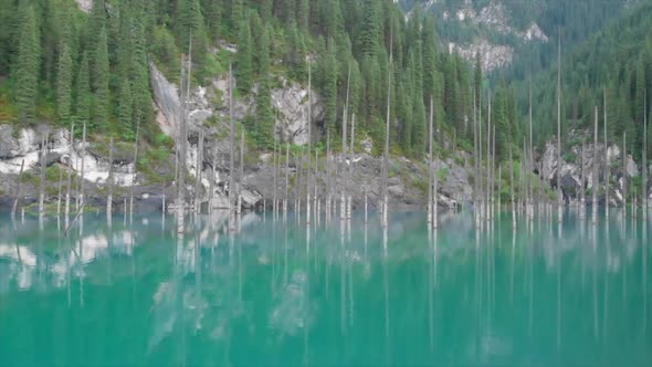 Kaindy Lake in Kazakhstan Known Also as Birch Tree Lake or Underwater Forest.