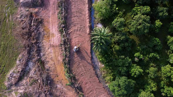 Aerial look down excavator move for land clearing at green bush forest