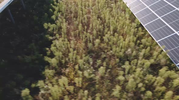 Solar Panels Farm in the Field