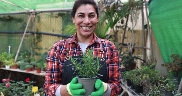 Latin woman working inside greenhouse garden - Nursery and spring concept