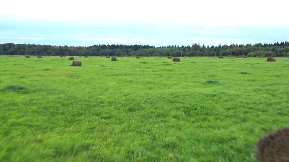 Haystacks on Field with Green Grass. Autumn Time