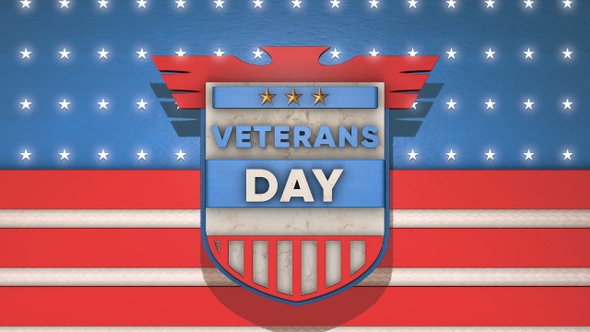 3D Veterans Graphic Pack