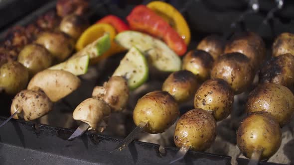 Grilling Vegetables on the Grill