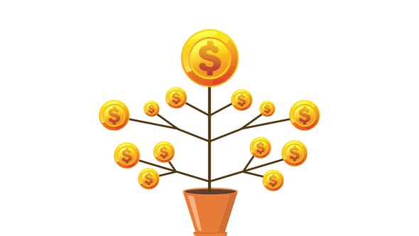 Growth of investment on money plant