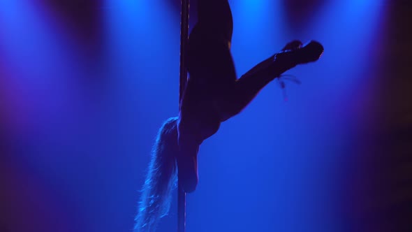 Attractive Striptease Dancer Performs Tricks on a Pole