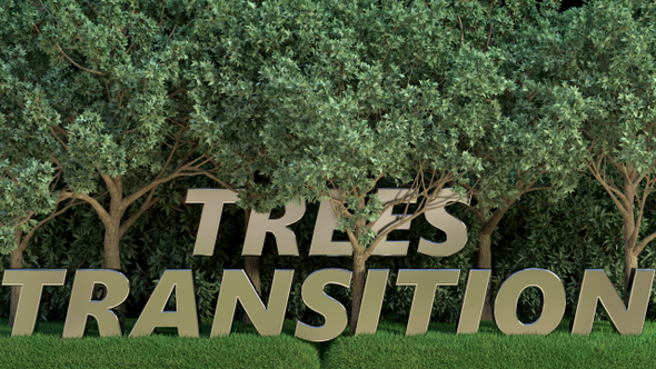 Trees Transition
