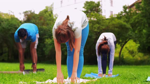 Group of People Doing Yoga at Summer Park