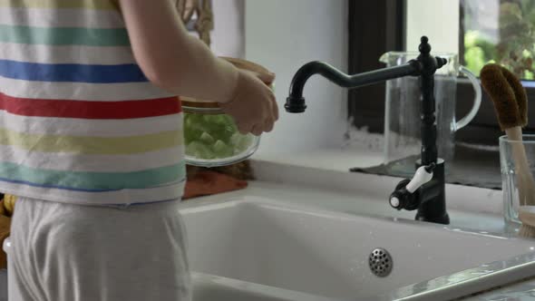 Little boy washing plate in kitchen