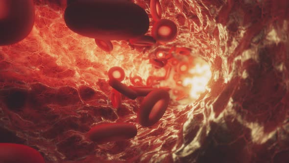 Red Blood Cells Moving in the Bloodstream in an Artery