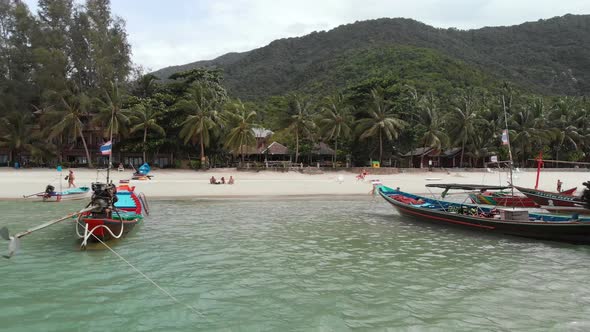 Zoom out view of a coconut trees along white sand beachfront in Ko Pha-ngan District Surat Thani