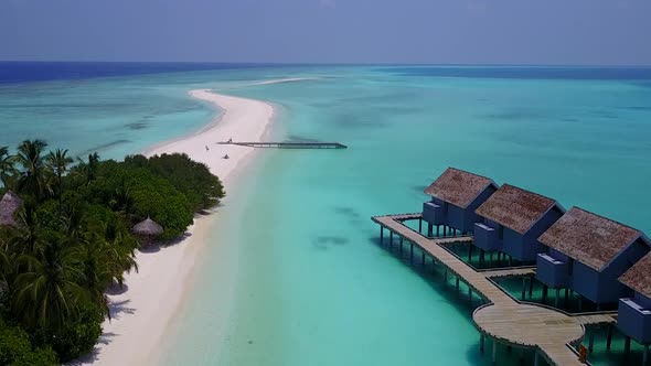 Aerial drone sky of shore beach wildlife by blue lagoon and sand background