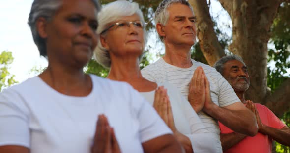 Senior friends performing yoga in garden 4k