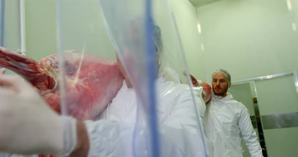 Team of butchers carrying meat