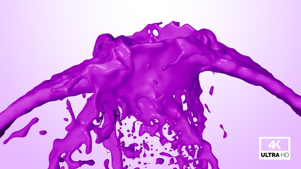 Purple Paint Splash Collision