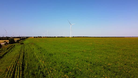 Aerial drone view of a flying over the wind turbine and agricultural fields