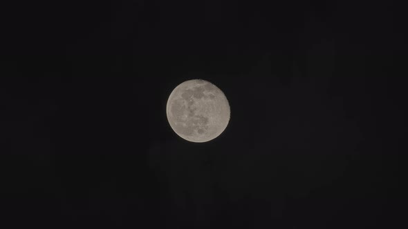 Moon