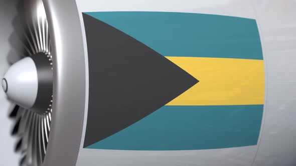 Flag of Bahamas on Airliner Tourbine