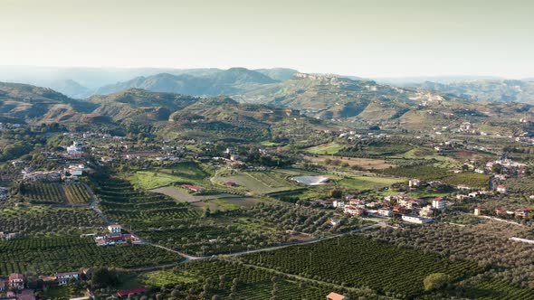 Green Cultivated Hills of Italy