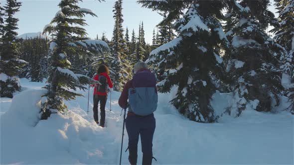 Adventure Girl Friends Hiking in Canadian Mountain Nature During Winter Sunny Morning