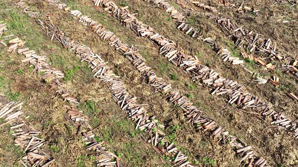 Aerial view of deforestation logging landscape at rural life scenery.