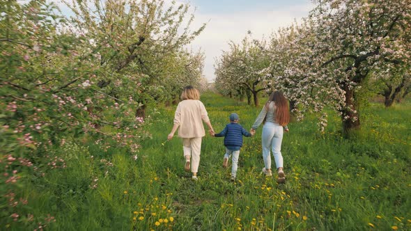 Back View of a Woman with Her Children Walking Through a Blooming Apple Orchard