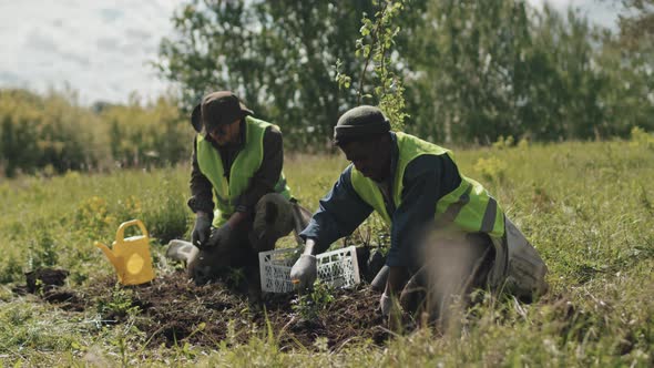 Men Planting Flowers