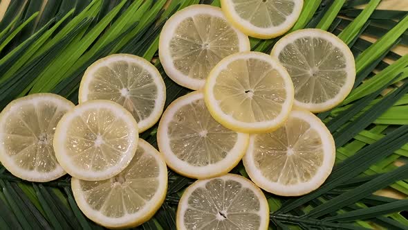 Lemon Slices On Green Leaves