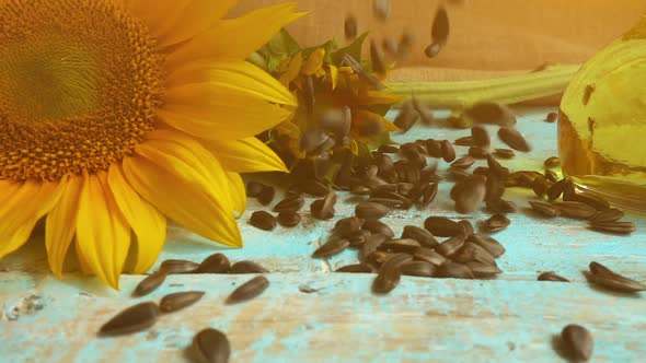 Sunflower, sunflower oil on blue vintage wooden table top and falling sunflower seeds on it